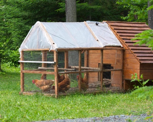 Gîte du Chalet les Berges image 23